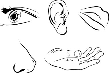 Abuse, Misuse of our Senses