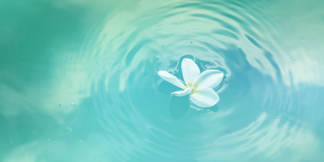 AYURVEDA CLEANSE – Adapt to Modern Living (Method 3 of 5: Enemas)